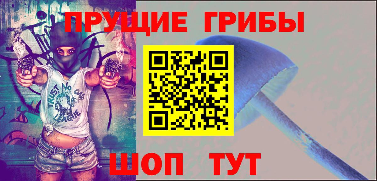 Малоярославец  Галлюциногенные грибы Psilocybe  Вход с VPN  Галлюциногенные грибы Psilocybine cubensis 